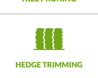 HEDGE TRIMMING