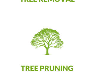 TREE PRUNING
